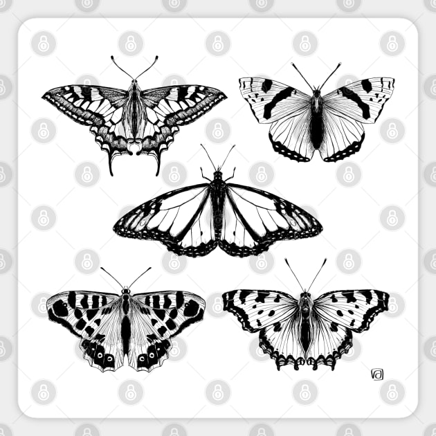 Black-and-white Butterflies Magnet by VeraAlmeida